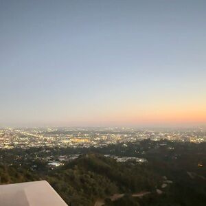 Meet your Posher, flower